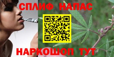 apvp Пенза